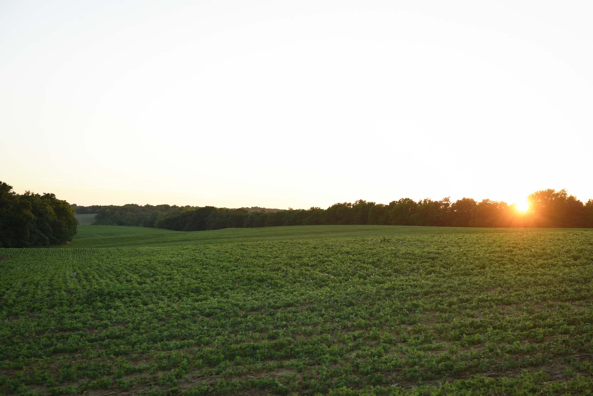 Howard County, Iowa Land Prices All Farmland Auction Results Iowa