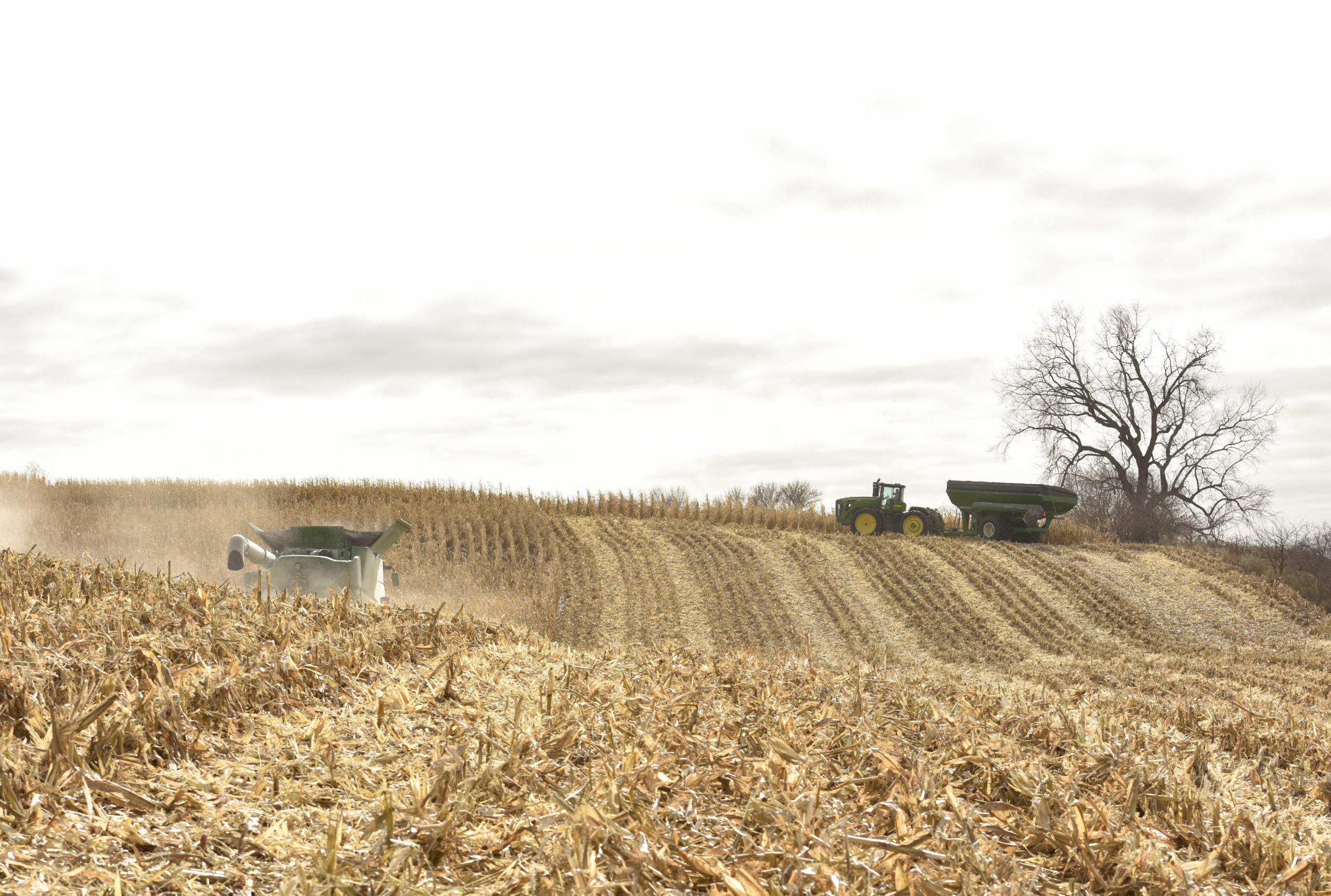 Woodbury County, Iowa Land Prices All Farmland Auction Results 2019