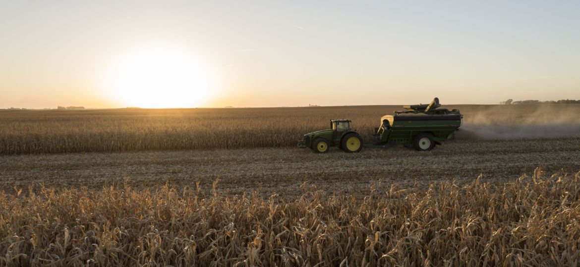 Calhoun Corn Harvest Low