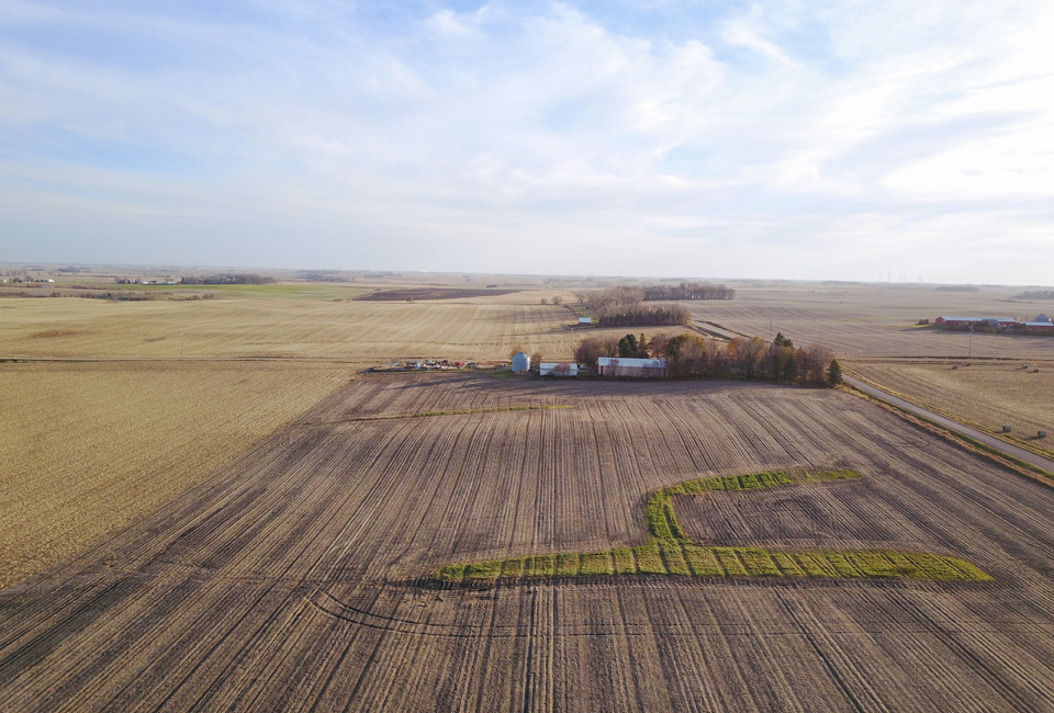 Palo Alto County, Iowa 106 +/ Acres Farmland Auction Iowa Land Company