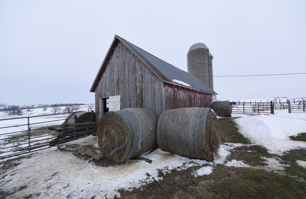 Mahaska County, Iowa 25 +/ Acres Country Charm Iowa Land Company