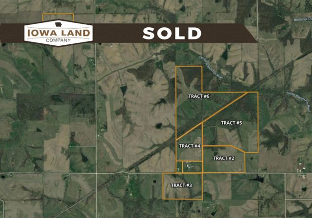 AppDavis Land Auction