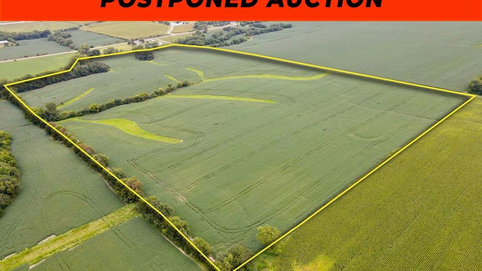 Postponed auction
